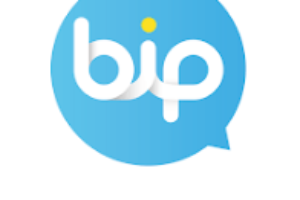 BiP logo