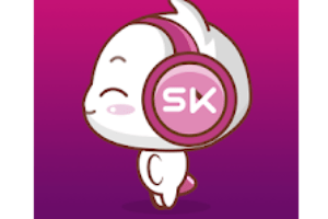 StreamKar - Live Video Chat Logo