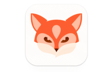 Fox VPN - Fast for Privacy logo