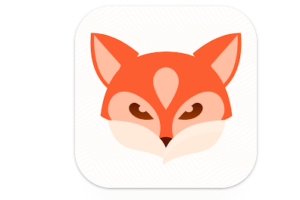 Fox VPN - Fast for Privacy logo