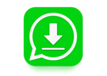 Save Video Status for WhatsApp logo