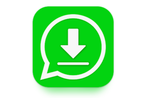 Save Video Status for WhatsApp logo